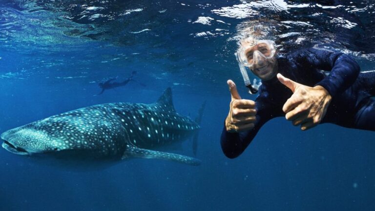 Tourism Western Australia luncurkan kampanye Drive The Dream