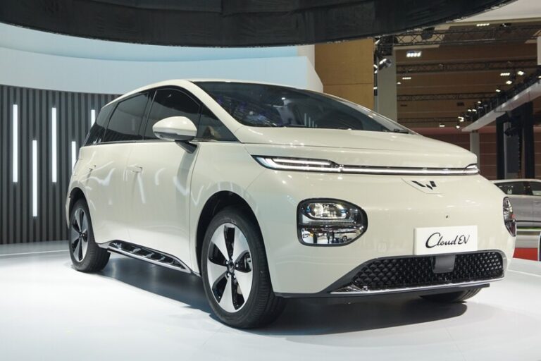 The Most Popular EV Brand