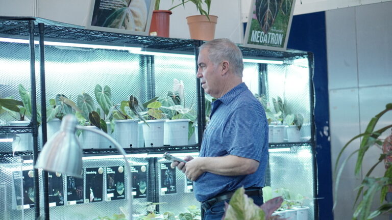 Floriculture Indonesia International Expo