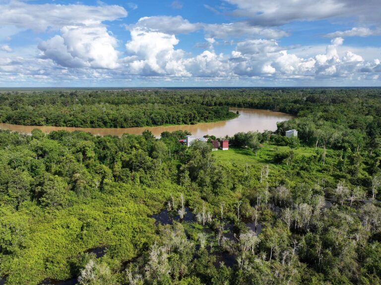 Pasca Penandatanganan MRA, CarbonEthics Tegaskan Pentingnya Kredit Karbon Berkualitas Tinggi di Indonesia