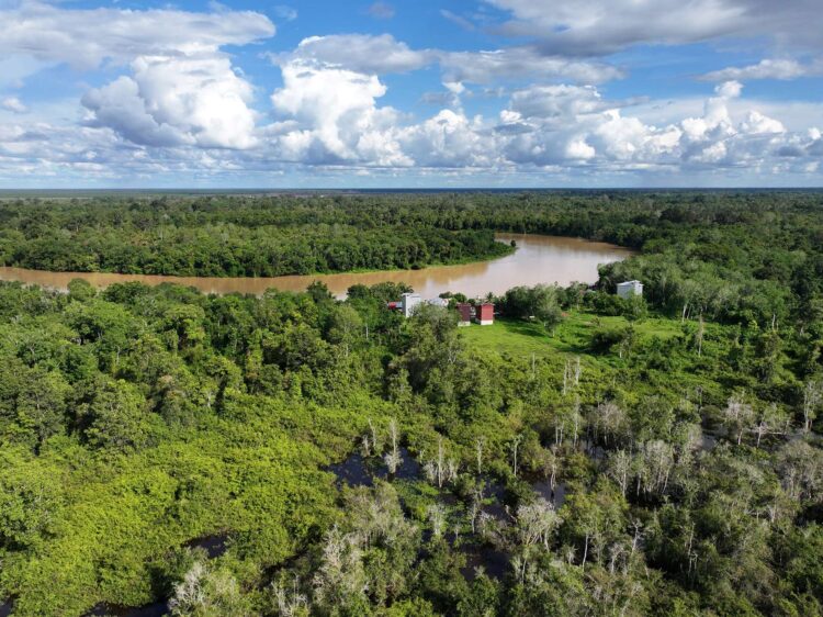 Pasca Penandatanganan MRA, CarbonEthics Tegaskan Pentingnya Kredit Karbon Berkualitas Tinggi di Indonesia