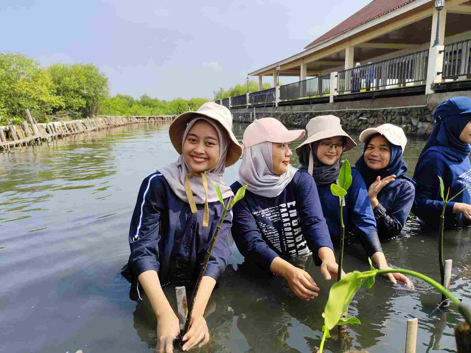 Paragon dan Bumitorri Galang Aksi Cegah Abrasi di Seberang Kawasan PIK 2