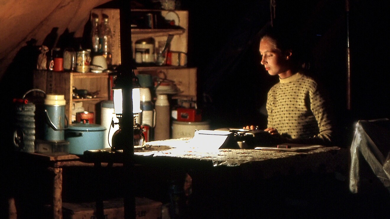 AWS Danai Jane Goodall Institute, Ubah Format Analog Enam Dekade Riset Primata Dalam Bentuk Arsip Digital