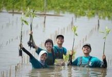 Napas Baru di Garis Pantai: Bagaimana BLDF Menjahit Kembali Ekosistem Pesisir yang Rapuh proses penanaman bibit mangrove di pinggir pantai oleh Bakti Lingkungan Djarum Foundation