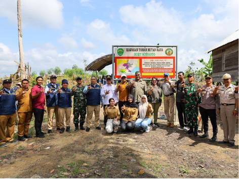 Pemulihan Hutan IKN
