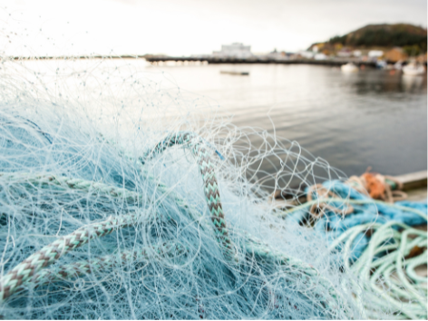Apa Itu Ghost Gear, dan Ancamannya bagi Ekosistem Laut Indonesia? ilustrasi : Ghost gear Indonesia menjadi sorotan dalam peringatan Hari Laut Internasional 2026.