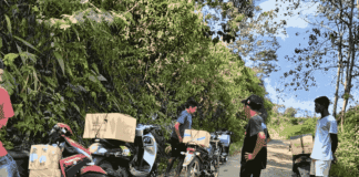 Bantuan Kemanusiaan bagi Masyarakat yang Terdampak Gempa Bumi di Nusa Tenggara Timur