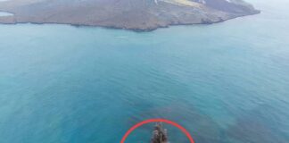 Bukan Pulau Baru, Ini Fakta Dataran 30,3 Hektare di Sekitar Anak Krakatau