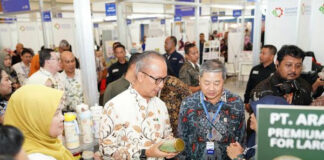 Kemenperin Soroti Tantangan Bahan Baku Halal di Tengah Bidikan Sebagai Pusat Industri Dunia Kemenperin soroti tantangan bahan baku halal di tengah bidikan Indonesia jadi pusat industri halal dunia dan defisit ekspor-impor.