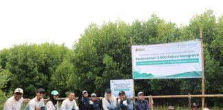 Penyerahan Bibit Mangrove IPCM Jadi Simbol Kolaborasi Pelindo Group untuk Keberlanjutan Penyerahan bibit mangrove IPCM dan EPI di Pantai Bahagia Bekasi