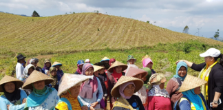 Perempuan Petani Hadapi Beban Ganda dan Minim Perlindungan Sosial Perempuan petani bekerja di sawah sebagai simbol peran perempuan petani Indonesia