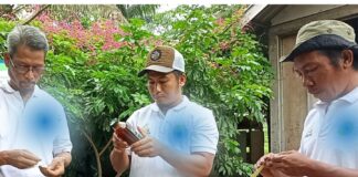 Kisah Petani Madu Trigona Lombok, 8 Tahun Bangkit dari Reruntuhan Gempa AR dan petani madu Trigona Lombok, memeriksa kotak koloni lebah.