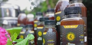 Model Bisnis Madu Trigona Lombok, Perbandingan Antara Ekosistem Sehat dan Margin di Tangan Petani Salah satu produk madu Trigona pembudidaya Lombok Utara.