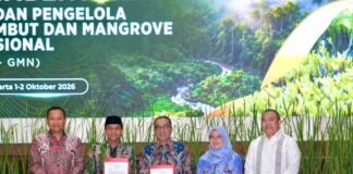 Evaluasi Kerusakan Gambut Jadi Pertanyaan di Balik Pembentukan BP-GMN Workshop pembentukan Badan Pengelola Gambut dan Mangrove Nasional di Jakarta